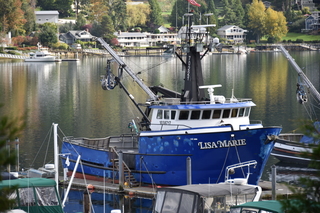 Filename=DSC_2745.JPG
Filesize=18198KiB
Dimensions=7360x4912
Date added=Oct 25, 2020 DSC_2745.JPG