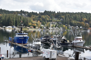 Filename=DSC_2746.JPG
Filesize=20359KiB
Dimensions=7360x4912
Date added=Oct 25, 2020 DSC_2746.JPG