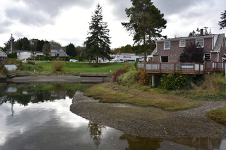 Filename=DSC_2747.JPG
Filesize=20691KiB
Dimensions=7360x4912
Date added=Oct 25, 2020 DSC_2747.JPG