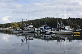 Filename=DSC_2749.JPG
Filesize=16934KiB
Dimensions=7360x4912
Date added=Oct 25, 2020 DSC_2749.JPG