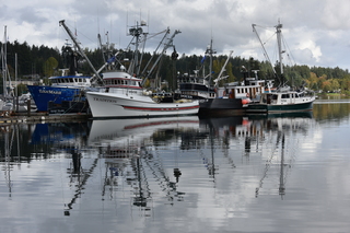 Filename=DSC_2750.JPG
Filesize=18362KiB
Dimensions=7360x4912
Date added=Oct 25, 2020 DSC_2750.JPG