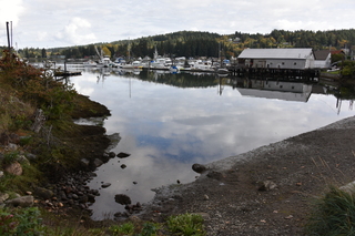 Filename=DSC_2752.JPG
Filesize=19337KiB
Dimensions=7360x4912
Date added=Oct 25, 2020 DSC_2752.JPG