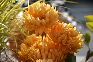 Filename=DSC_2760.JPG
Filesize=16371KiB
Dimensions=7360x4912
Date added=Oct 25, 2020 DSC_2760.JPG