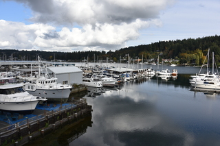 Filename=DSC_2767.JPG
Filesize=18093KiB
Dimensions=7360x4912
Date added=Oct 25, 2020 DSC_2767.JPG