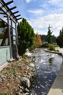 Filename=DSC_2769.JPG
Filesize=18934KiB
Dimensions=4912x7360
Date added=Oct 25, 2020 DSC_2769.JPG