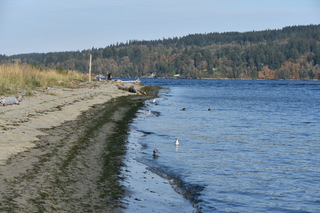 Filename=DSC_2773.JPG
Filesize=20841KiB
Dimensions=7360x4912
Date added=Oct 25, 2020 DSC_2773.JPG