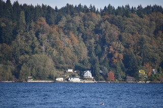 Filename=DSC_2774.JPG
Filesize=20405KiB
Dimensions=7360x4912
Date added=Oct 25, 2020 DSC_2774.JPG