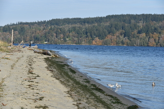 Filename=DSC_2776.JPG
Filesize=20677KiB
Dimensions=7360x4912
Date added=Oct 25, 2020 DSC_2776.JPG