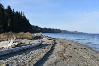 Filename=DSC_2778.JPG
Filesize=21583KiB
Dimensions=7360x4912
Date added=Oct 25, 2020 DSC_2778.JPG