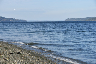 Filename=DSC_2780.JPG
Filesize=20123KiB
Dimensions=7360x4912
Date added=Oct 25, 2020 DSC_2780.JPG