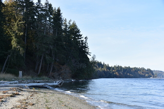 Filename=DSC_2781.JPG
Filesize=19056KiB
Dimensions=7360x4912
Date added=Oct 25, 2020 DSC_2781.JPG