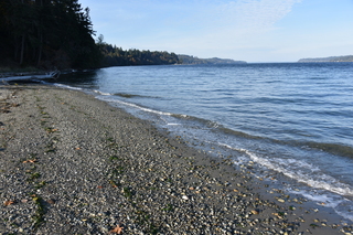 Filename=DSC_2782.JPG
Filesize=23661KiB
Dimensions=7360x4912
Date added=Oct 25, 2020 DSC_2782.JPG