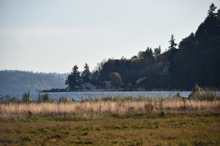 Filename=DSC_2783.JPG
Filesize=16840KiB
Dimensions=7360x4912
Date added=Oct 25, 2020 DSC_2783.JPG