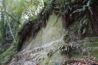 Filename=DSC_2789.JPG
Filesize=23378KiB
Dimensions=7360x4912
Date added=Oct 25, 2020 DSC_2789.JPG