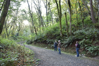 Filename=DSC_2795.JPG
Filesize=24658KiB
Dimensions=7360x4912
Date added=Oct 25, 2020 DSC_2795.JPG