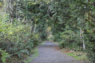 Filename=DSC_2797.JPG
Filesize=22601KiB
Dimensions=7360x4912
Date added=Oct 25, 2020 DSC_2797.JPG