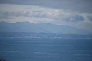 Filename=DSC_2814.JPG
Filesize=15320KiB
Dimensions=7360x4912
Date added=Jan 25, 2021 DSC_2814.JPG