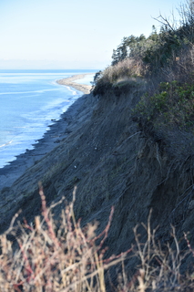 Filename=DSC_2816.JPG
Filesize=16617KiB
Dimensions=4912x7360
Date added=Jan 25, 2021 DSC_2816.JPG