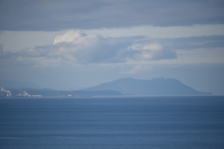 Filename=DSC_2819.JPG
Filesize=15047KiB
Dimensions=7360x4912
Date added=Jan 25, 2021 DSC_2819.JPG