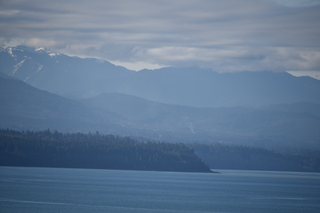 Filename=DSC_2820.JPG
Filesize=14755KiB
Dimensions=7360x4912
Date added=Jan 25, 2021 DSC_2820.JPG