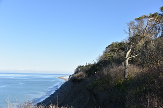 Filename=DSC_2822.JPG
Filesize=18535KiB
Dimensions=7360x4912
Date added=Jan 25, 2021 DSC_2822.JPG