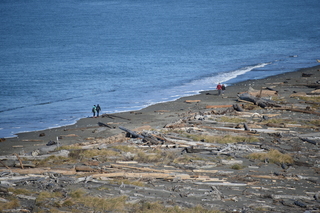 Filename=DSC_2825.JPG
Filesize=20012KiB
Dimensions=7360x4912
Date added=Jan 25, 2021 DSC_2825.JPG