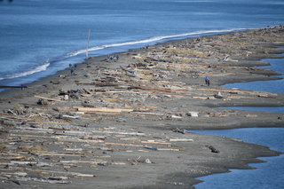 Filename=DSC_2826.JPG
Filesize=20328KiB
Dimensions=7360x4912
Date added=Jan 25, 2021 DSC_2826.JPG