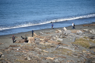 Filename=DSC_2828.JPG
Filesize=21250KiB
Dimensions=7360x4912
Date added=Jan 25, 2021 DSC_2828.JPG