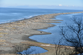 Filename=DSC_2831.JPG
Filesize=23029KiB
Dimensions=7360x4912
Date added=Jan 25, 2021 DSC_2831.JPG