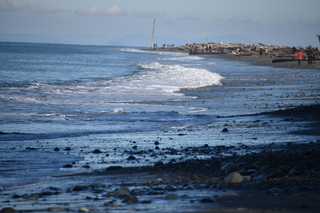 Filename=DSC_2841.JPG
Filesize=16997KiB
Dimensions=7360x4912
Date added=Jan 25, 2021 DSC_2841.JPG