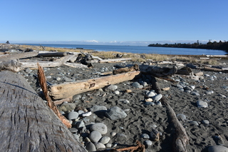 Filename=DSC_2844.JPG
Filesize=22246KiB
Dimensions=7360x4912
Date added=Jan 25, 2021 DSC_2844.JPG