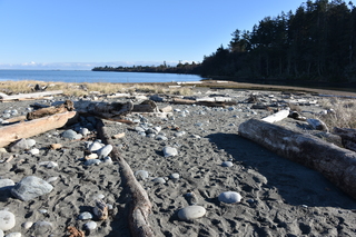 Filename=DSC_2845.JPG
Filesize=22830KiB
Dimensions=7360x4912
Date added=Jan 25, 2021 DSC_2845.JPG