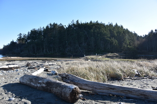 Filename=DSC_2847.JPG
Filesize=20493KiB
Dimensions=7360x4912
Date added=Jan 25, 2021 DSC_2847.JPG