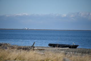 Filename=DSC_2851.JPG
Filesize=15414KiB
Dimensions=7360x4912
Date added=Jan 25, 2021 DSC_2851.JPG