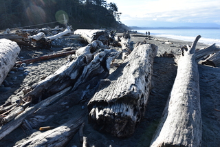 Filename=DSC_2853.JPG
Filesize=21082KiB
Dimensions=7360x4912
Date added=Jan 25, 2021 DSC_2853.JPG