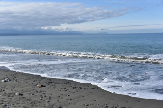 Filename=DSC_2857.JPG
Filesize=20329KiB
Dimensions=7360x4912
Date added=Jan 25, 2021 DSC_2857.JPG