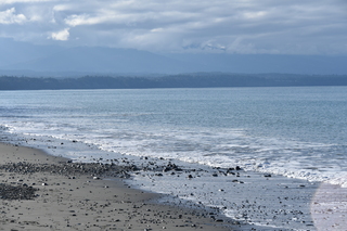 Filename=DSC_2858.JPG
Filesize=20398KiB
Dimensions=7360x4912
Date added=Jan 25, 2021 DSC_2858.JPG