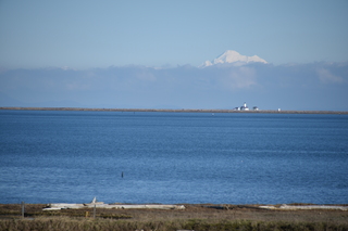 Filename=DSC_2859.JPG
Filesize=15669KiB
Dimensions=7360x4912
Date added=Jan 25, 2021 DSC_2859.JPG