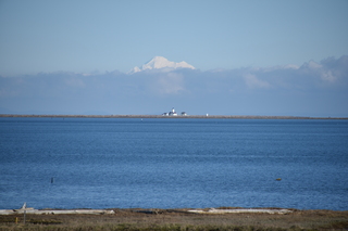 Filename=DSC_2860.JPG
Filesize=16291KiB
Dimensions=7360x4912
Date added=Jan 25, 2021 DSC_2860.JPG