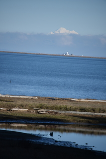 Filename=DSC_2861.JPG
Filesize=13711KiB
Dimensions=4912x7360
Date added=Jan 25, 2021 DSC_2861.JPG