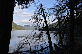 Filename=DSC_2864.JPG
Filesize=21735KiB
Dimensions=7360x4912
Date added=Jan 25, 2021 DSC_2864.JPG