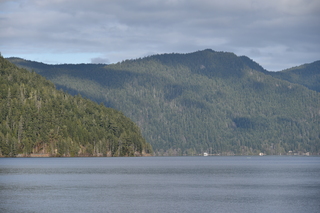 Filename=DSC_2866.JPG
Filesize=19610KiB
Dimensions=7360x4912
Date added=Jan 25, 2021 DSC_2866.JPG