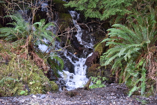 Filename=DSC_2870.JPG
Filesize=23234KiB
Dimensions=7360x4912
Date added=Jan 25, 2021 DSC_2870.JPG