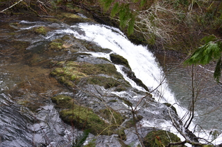 Filename=DSC_2873.JPG
Filesize=22487KiB
Dimensions=7360x4912
Date added=Jan 25, 2021 DSC_2873.JPG