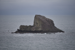 Filename=DSC_2877.JPG
Filesize=16567KiB
Dimensions=7360x4912
Date added=Jan 25, 2021 DSC_2877.JPG