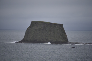 Filename=DSC_2878.JPG
Filesize=15553KiB
Dimensions=7360x4912
Date added=Jan 25, 2021 DSC_2878.JPG