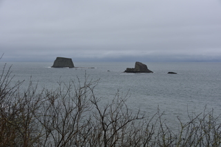 Filename=DSC_2879.JPG
Filesize=18021KiB
Dimensions=7360x4912
Date added=Jan 25, 2021 DSC_2879.JPG