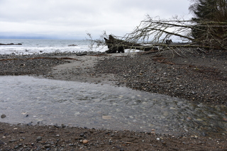 Filename=DSC_2881.JPG
Filesize=21256KiB
Dimensions=7360x4912
Date added=Jan 25, 2021 DSC_2881.JPG