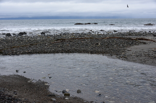 Filename=DSC_2883.JPG
Filesize=20447KiB
Dimensions=7360x4912
Date added=Jan 25, 2021 DSC_2883.JPG