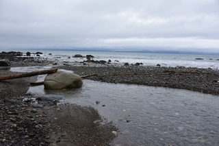 Filename=DSC_2884.JPG
Filesize=19016KiB
Dimensions=7360x4912
Date added=Jan 25, 2021 DSC_2884.JPG